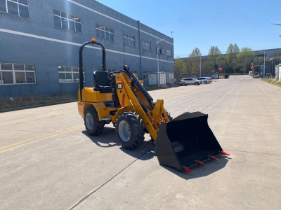 Small Wheel Loader
