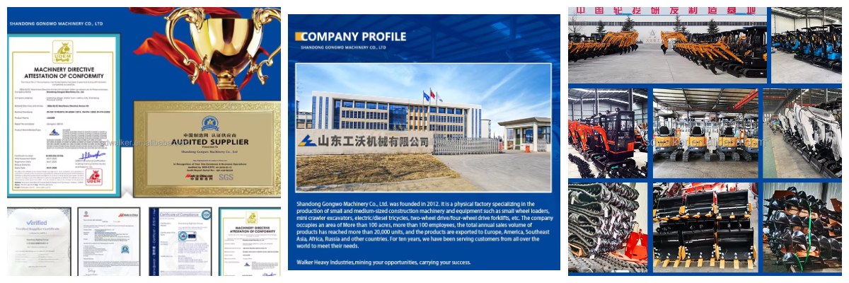 Company Profile